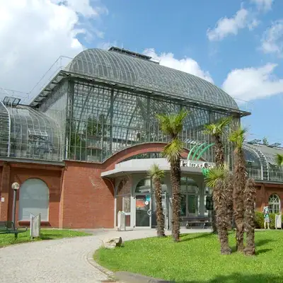 Palmengarten